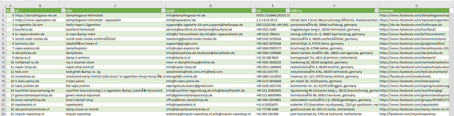 Sample Screenshot of Germany Vape Store Data List